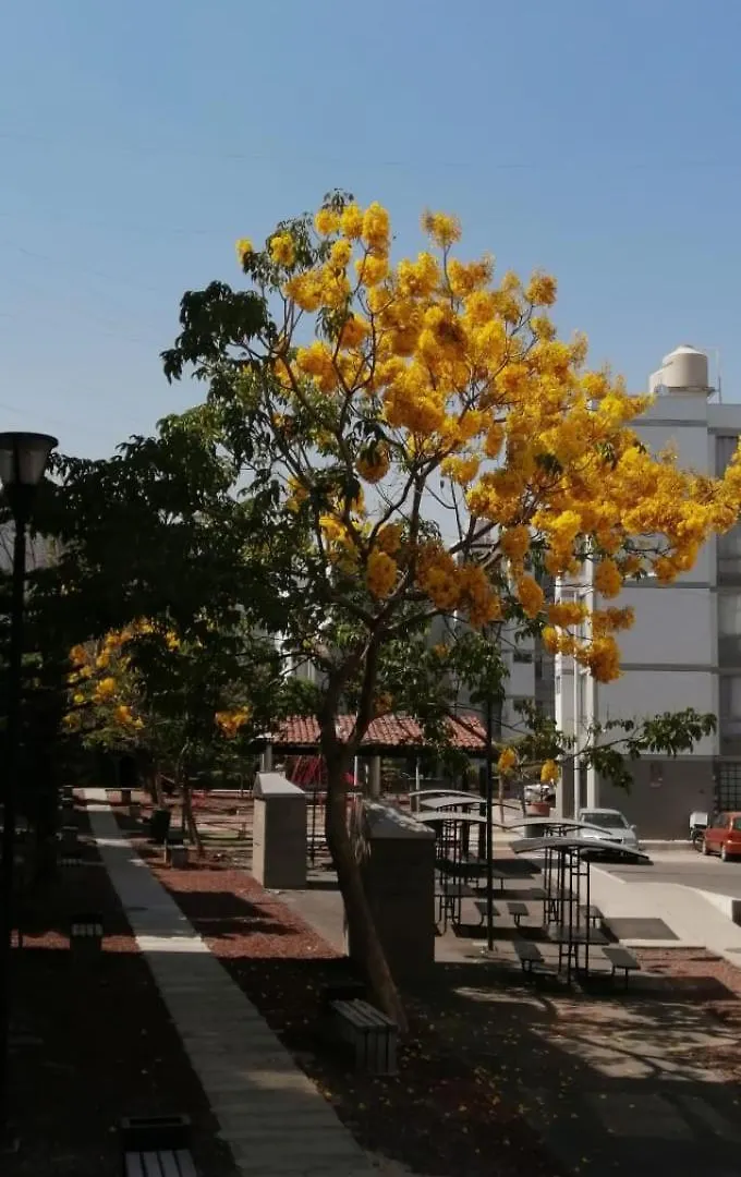 Departamento Tapatio Apartment Guadalajara